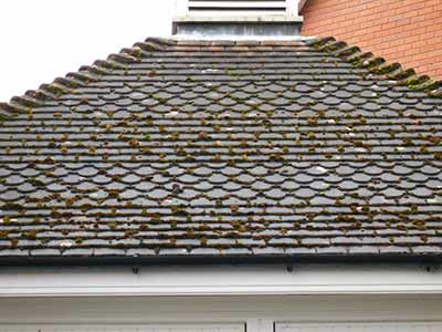before-roof-cleaning before roof cleaning